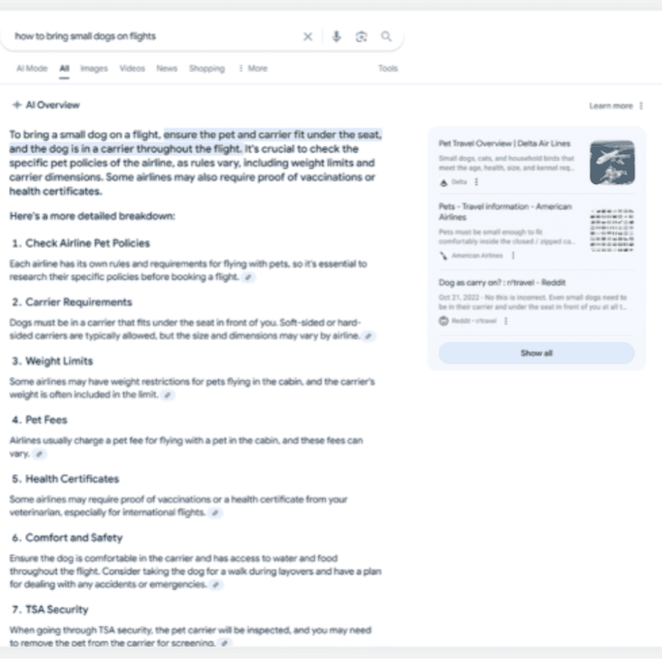 ai overview